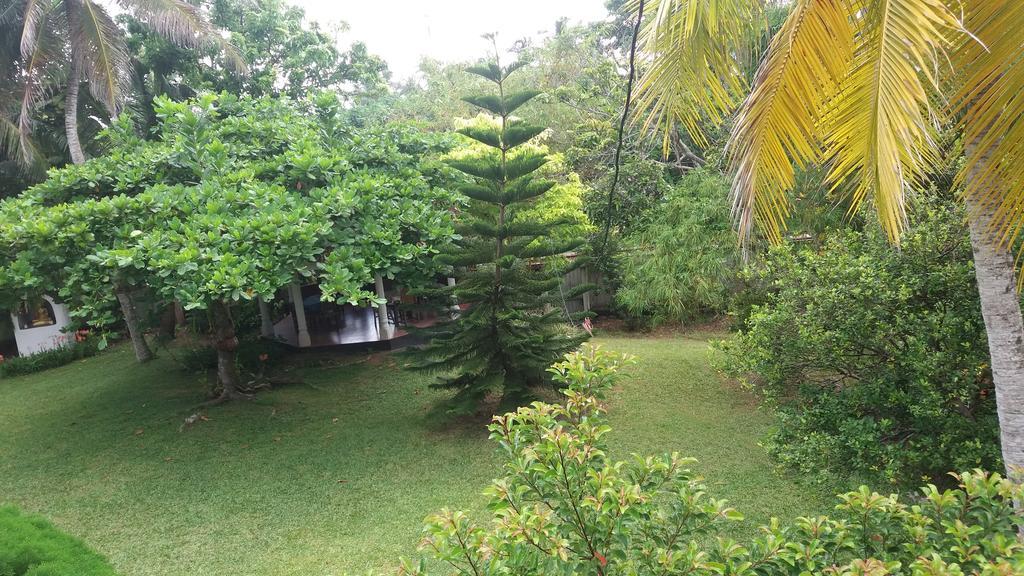 4 Seasons Guesthouse Hikkaduwa Exteriér fotografie