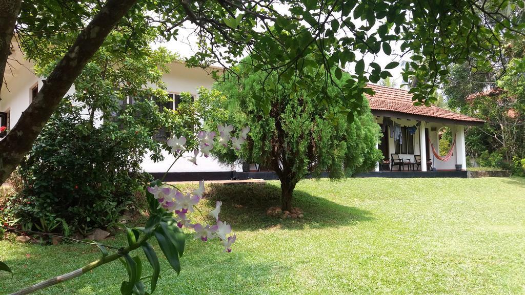 4 Seasons Guesthouse Hikkaduwa Exteriér fotografie